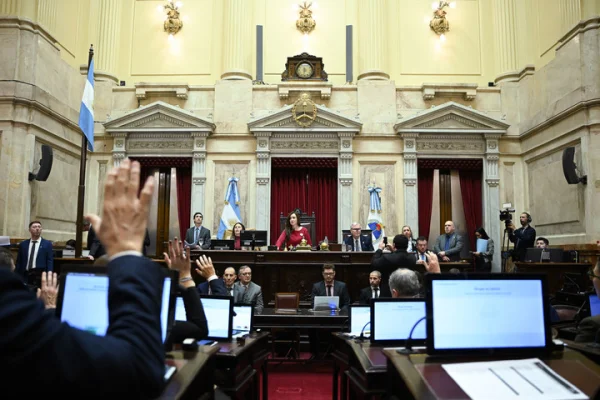 El Senado avanzó con pliegos y postergó la Ley de Propiedad Privada: El rol de los senadores riojanos
