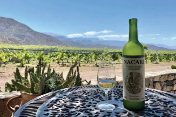 Dictarán Taller sobre Torrontés de la Región La Rioja-Catamarca