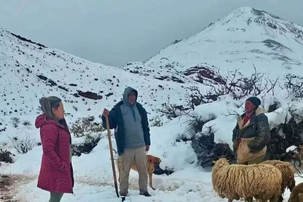 Temporal de nieve en la alta cordillera: asistencia e historia de vida de los pastores de Río Colorado