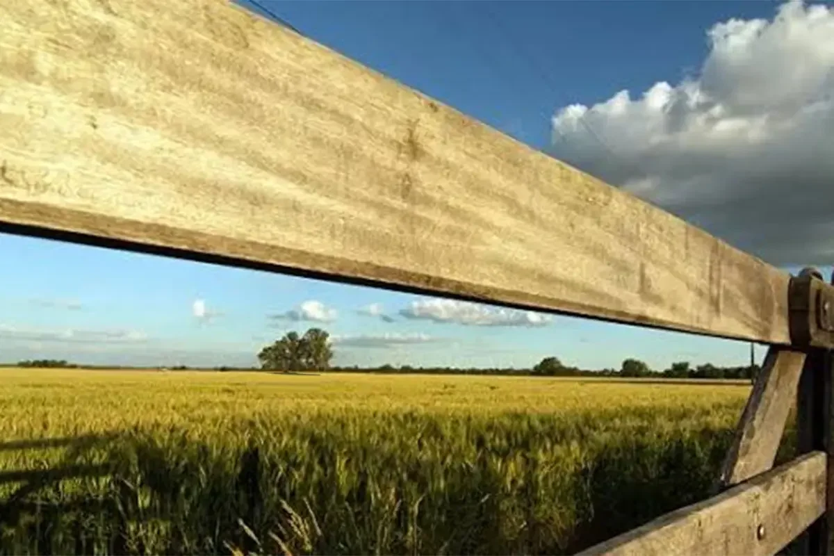 Venta de tierras a extranjeros: el Gobierno Nacional ratificó cambios en el proyecto de ley