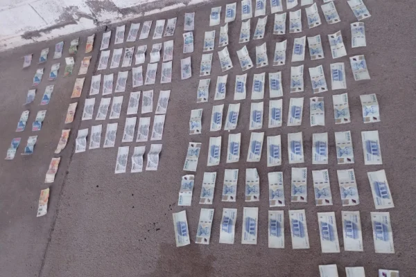 Recuperan más de $1,6 millones tras un robo y detienen a una mujer